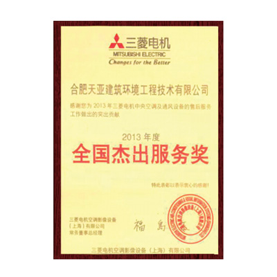 全國(guó)杰出服務(wù)獎(jiǎng)